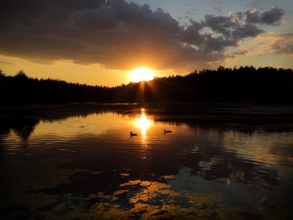 Sonnenuntergang Idylle ... 3