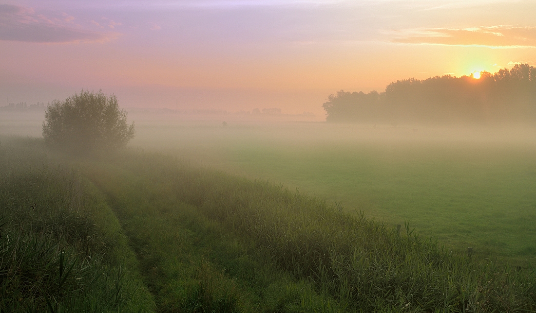 A foggy summer morning.