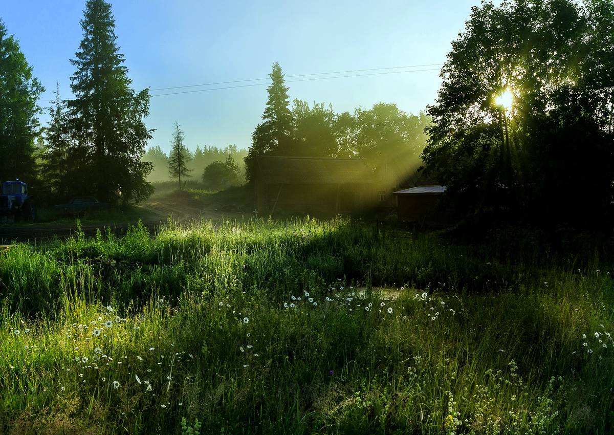 Die ersten Strahlen der Morgendämmerung ...