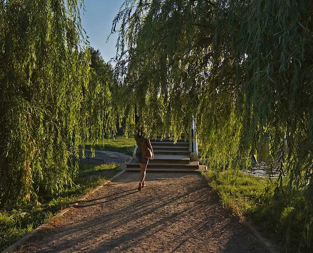 Auf Wiedersehen ... ...