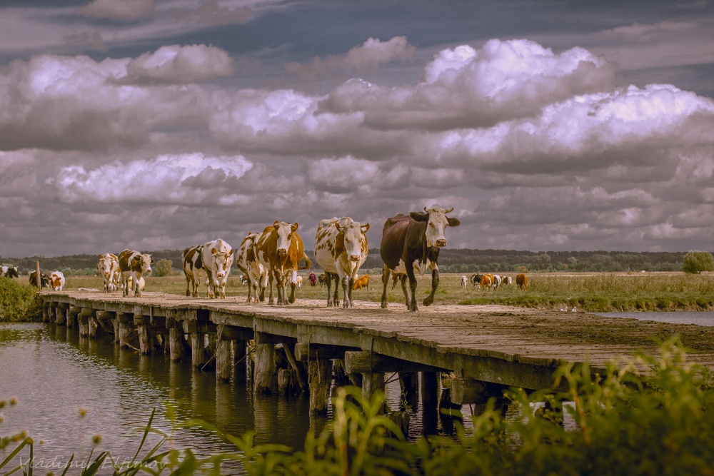Durch eine kleine Brücke über den Bach