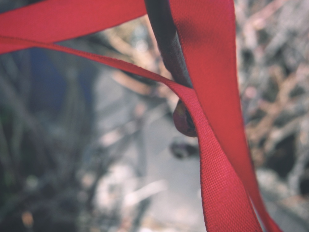 Red Ribbon.