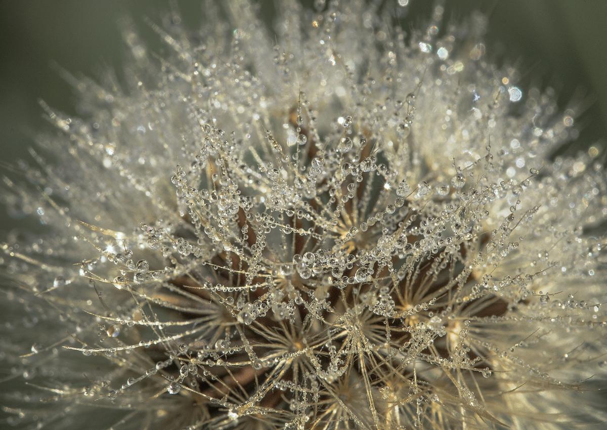 Der Monat August ...