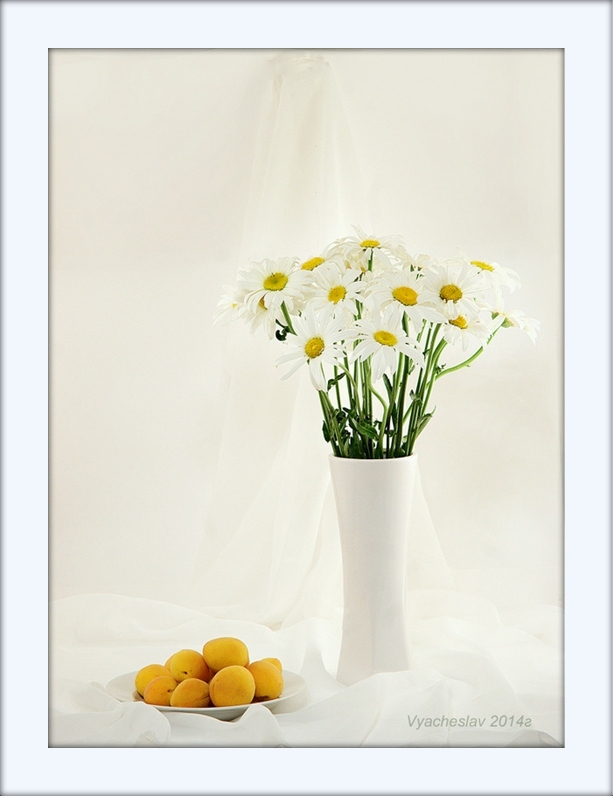 Stillleben mit Aprikosen