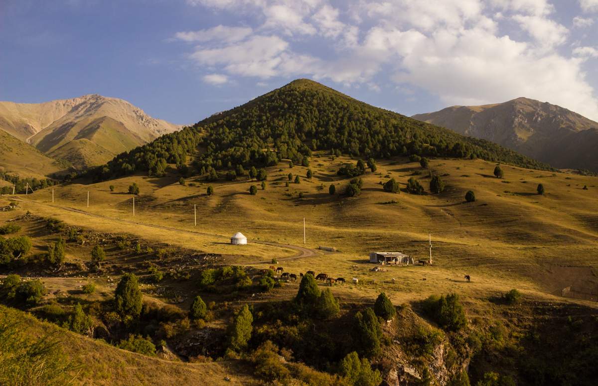 Ansatz der Herbst ...