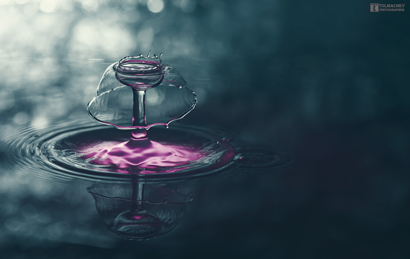 Splash "Dancer in the Dark"