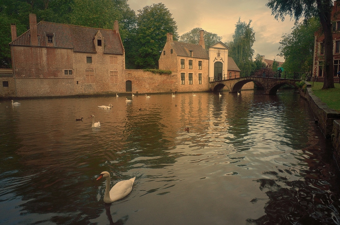 Bruges in the rain.