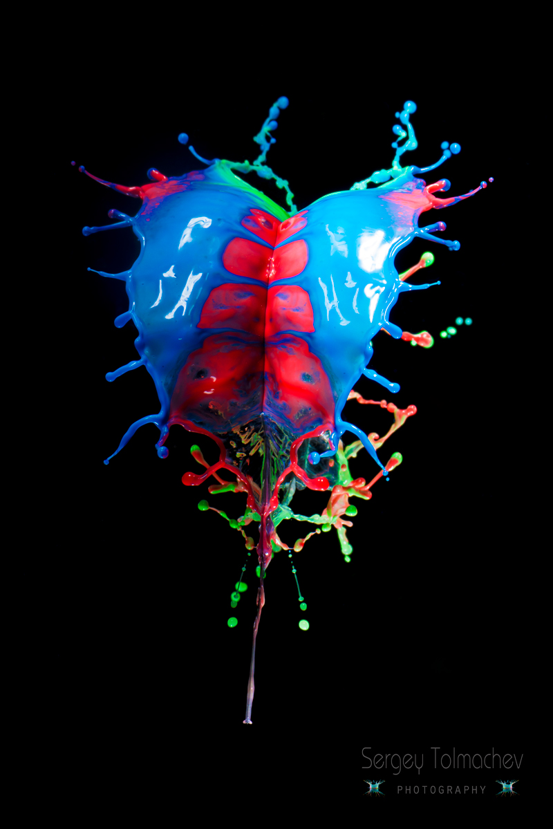 Splash "Feder des Feuervogels"