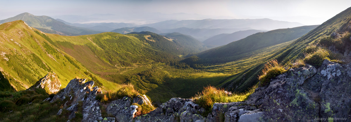 Morgengrauen auf einem Elefanten Goverly
