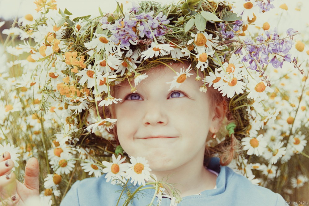 In den Gänseblümchen