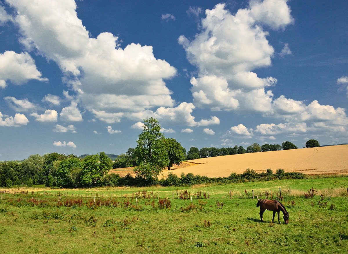 Letzter Tag im Juli ...