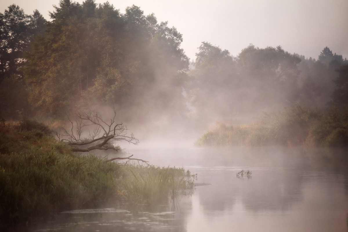 Morgen auf der Memel