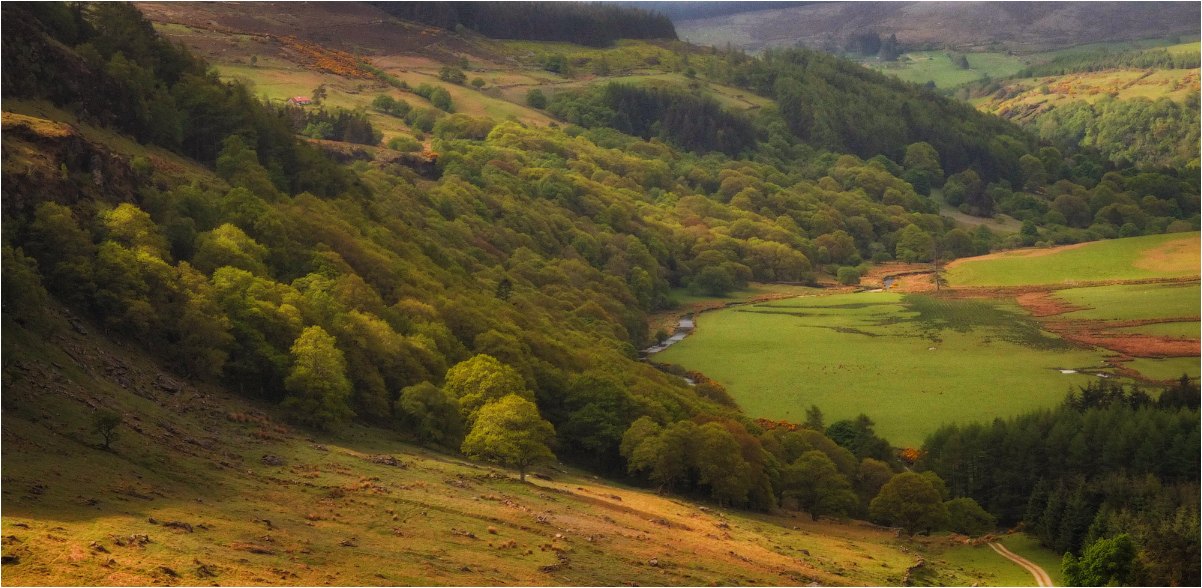 ...Ballinrush Slopes...