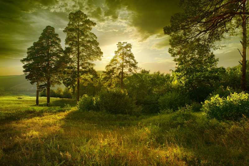 Am Ende des Sommers.