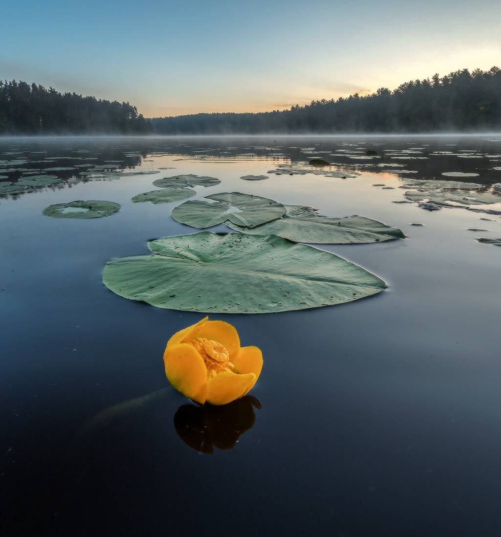 Spiegelähnliche Oberfläche.