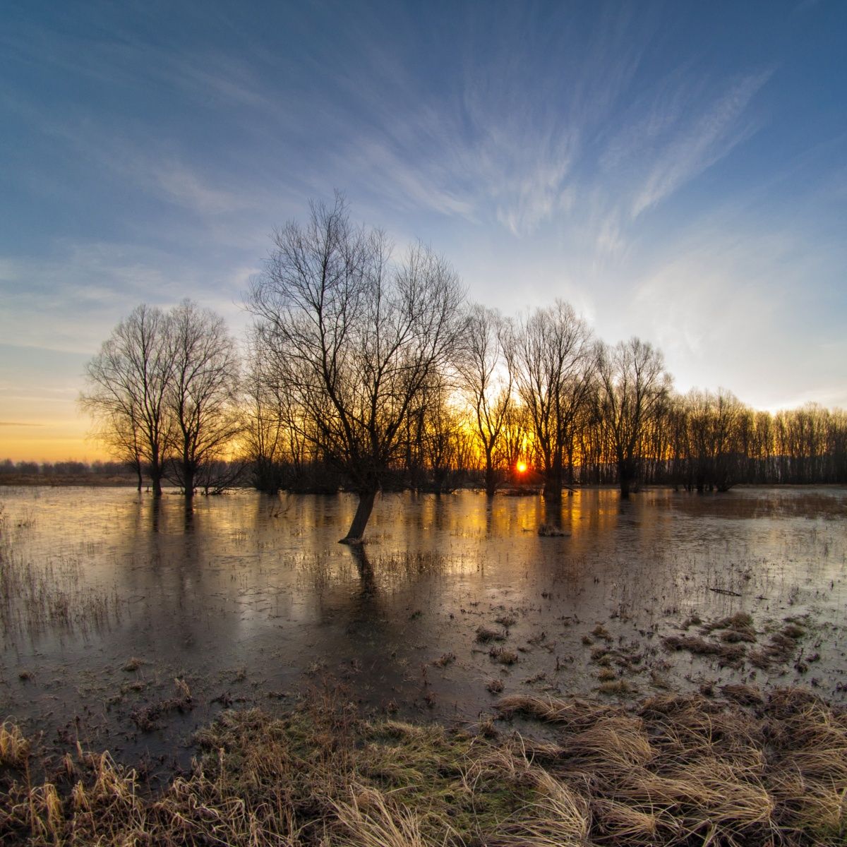 Weihnachten Modeerscheinung