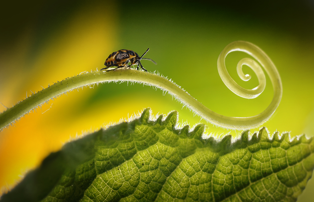 Durch Täler und Hügel