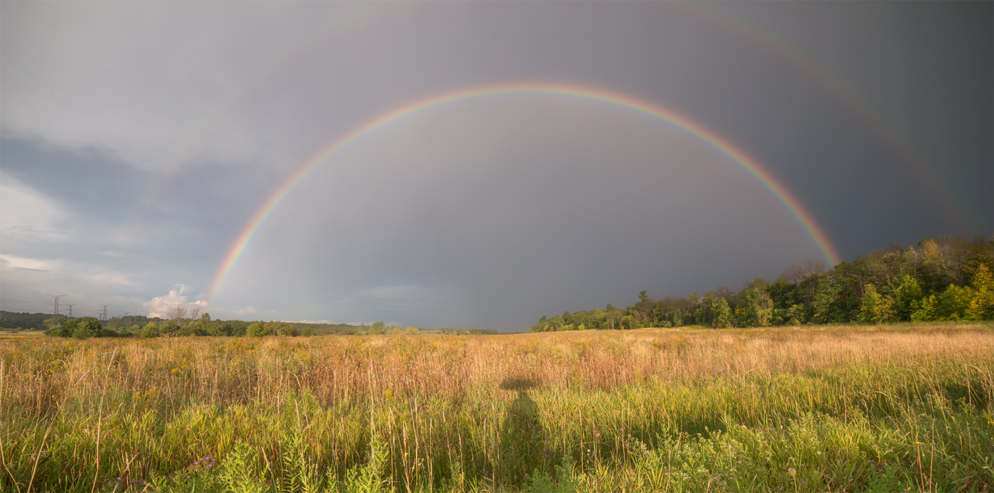 celebrating upcoming Autumn!