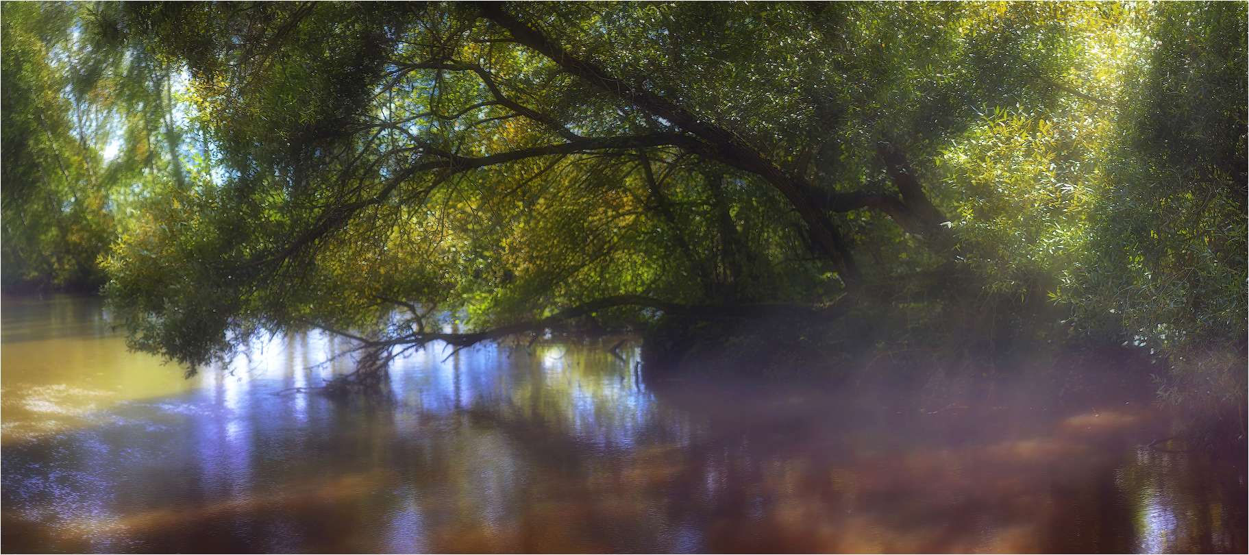 Sanft umarmt den Fluss