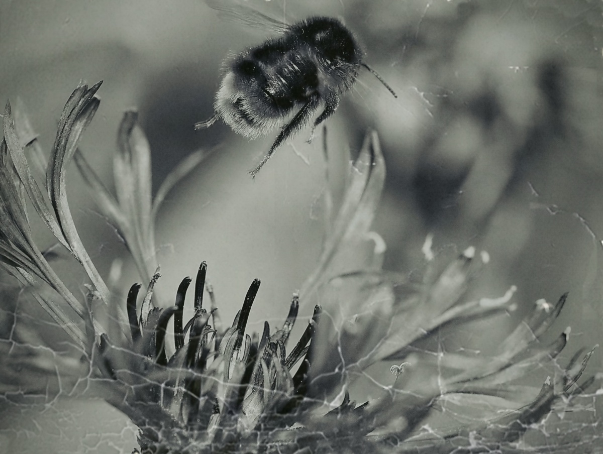 Die Geschichte einer Flucht