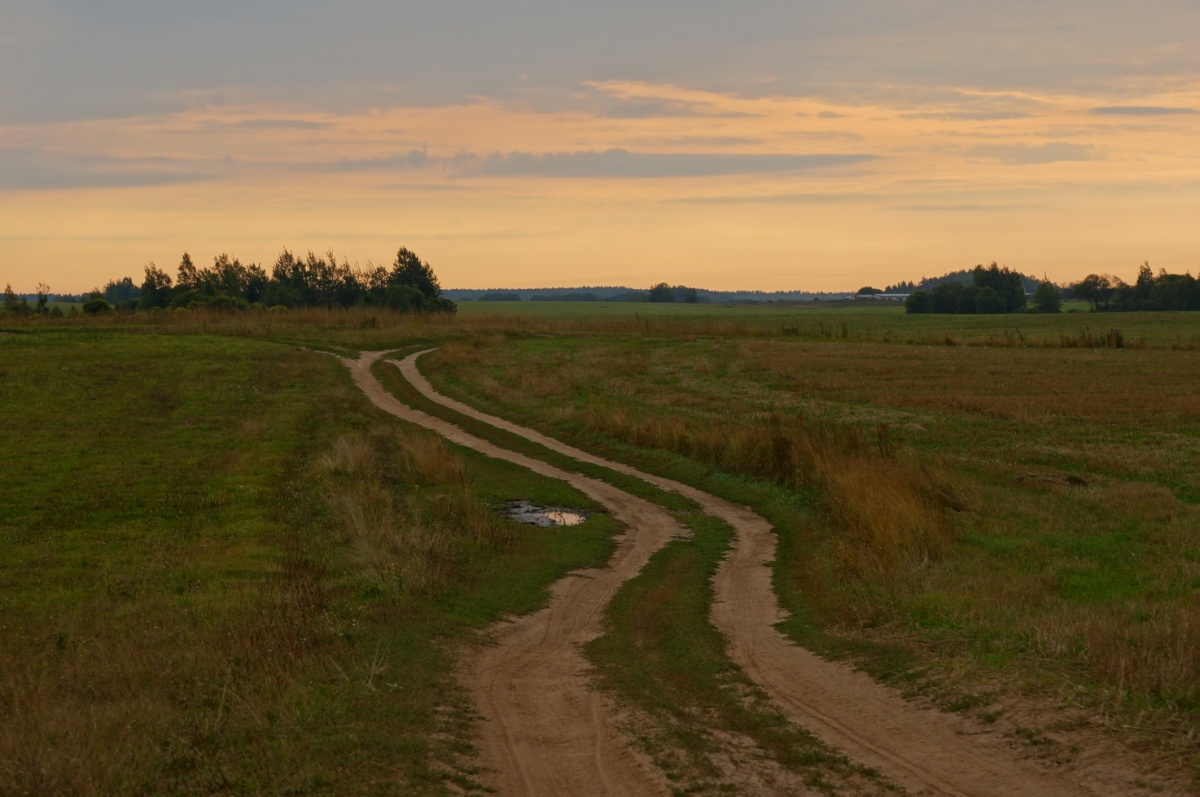 Im Morgengrauen gehen in das Feld)