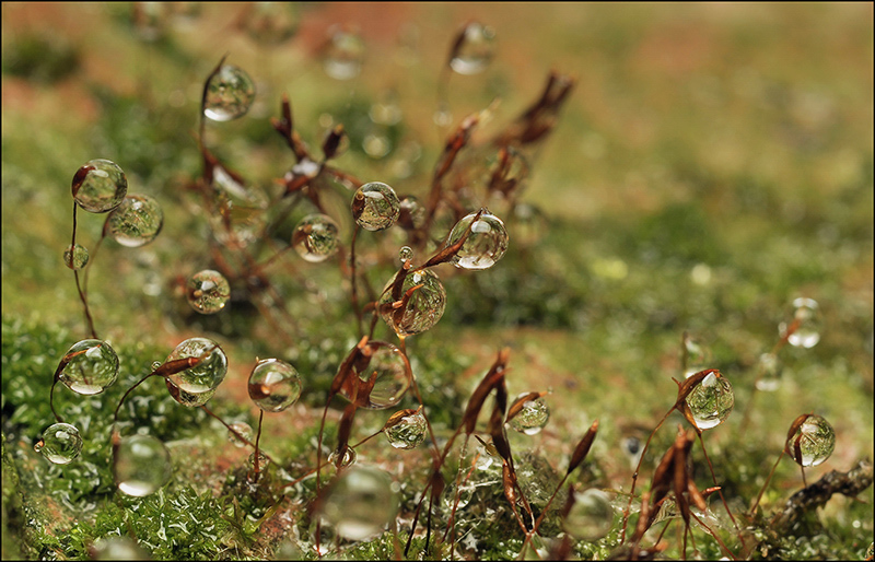 Ruhig Versammlungen ...