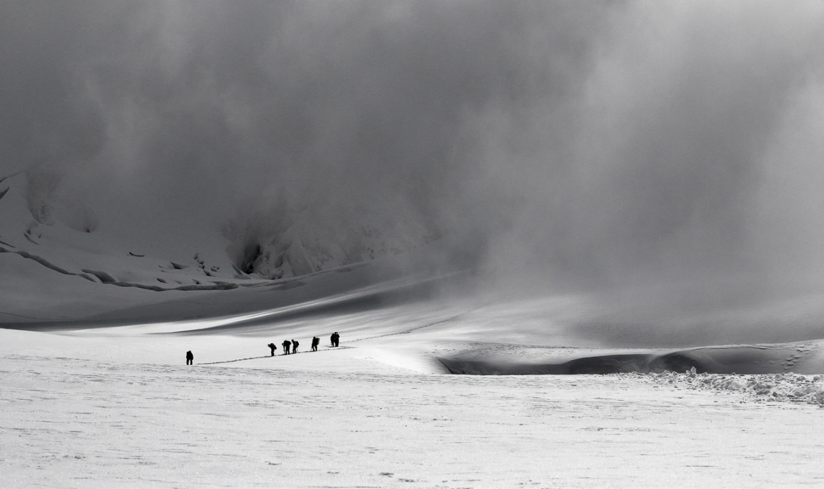 In der verschneiten Wildnis