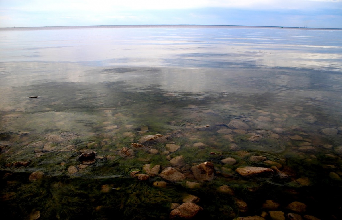 Spiegelartige Oberfläche