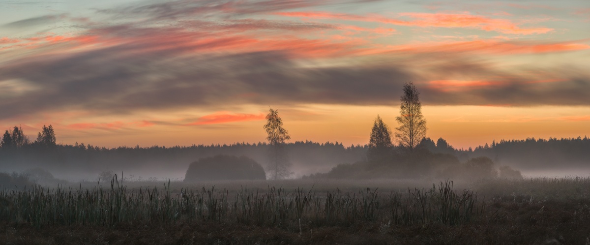Am frühen Morgen Bild.