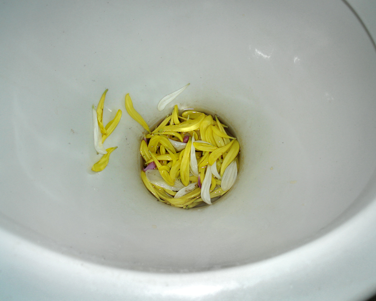 Auf Wiedersehen, Liebe.