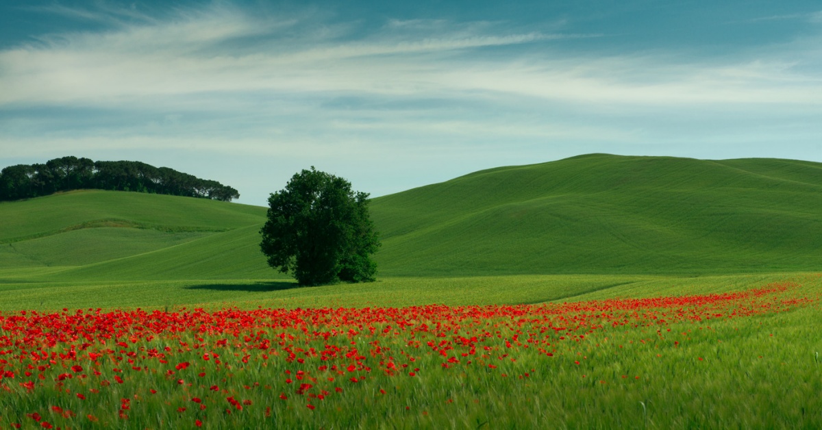 Überlegungen zu Windows-