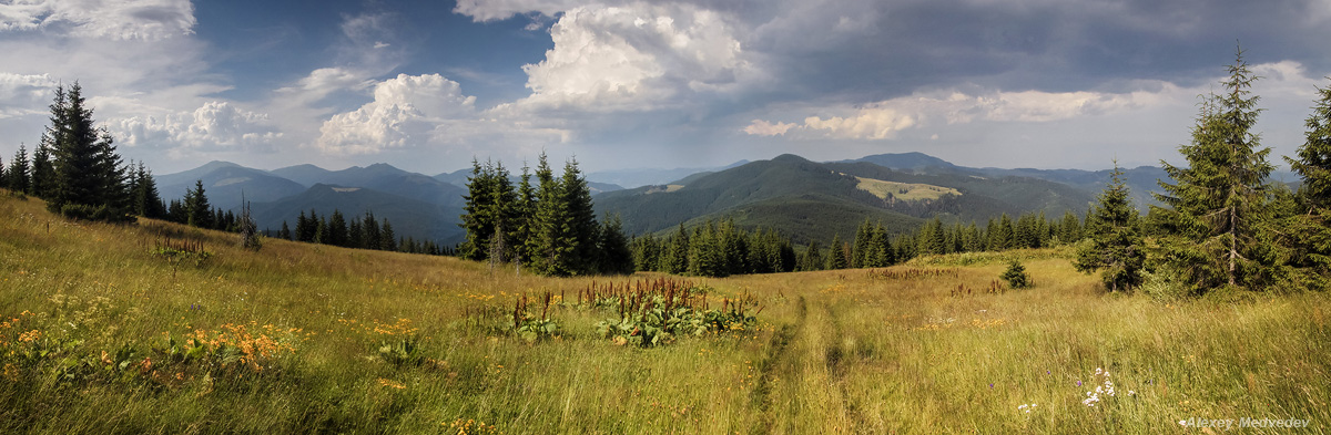 Die Trakt Galya-Glühbirnen