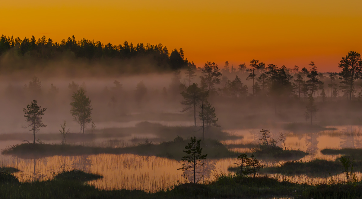 Karelia Nebel