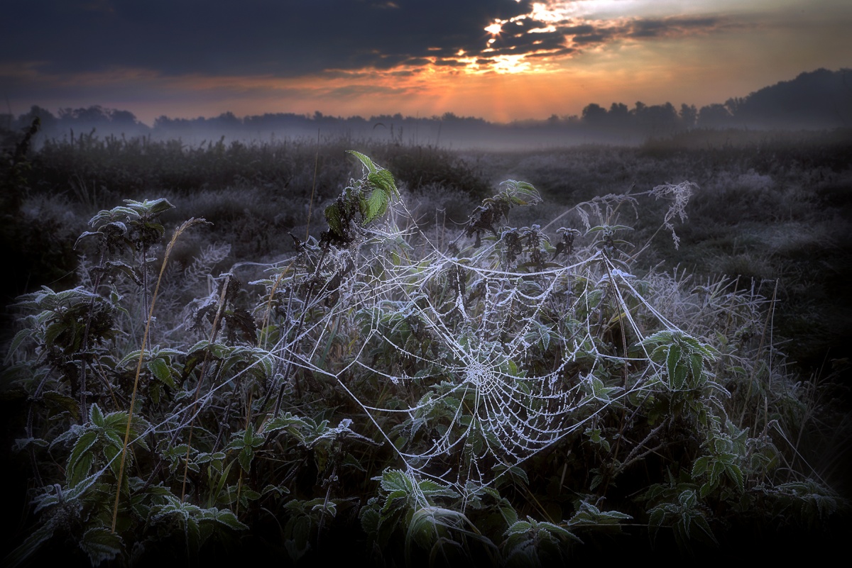 Und nur wenige Tage vor dem frühlingshaften ...