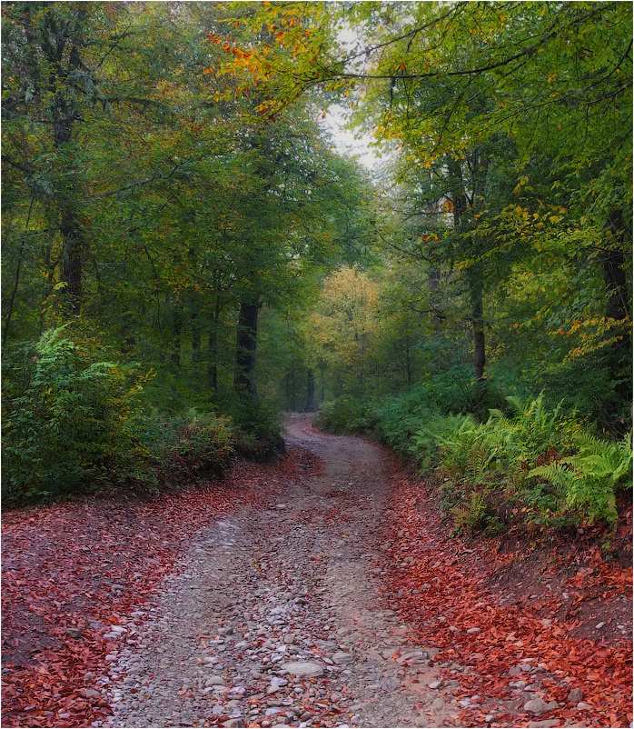 Herbst in den Bergen