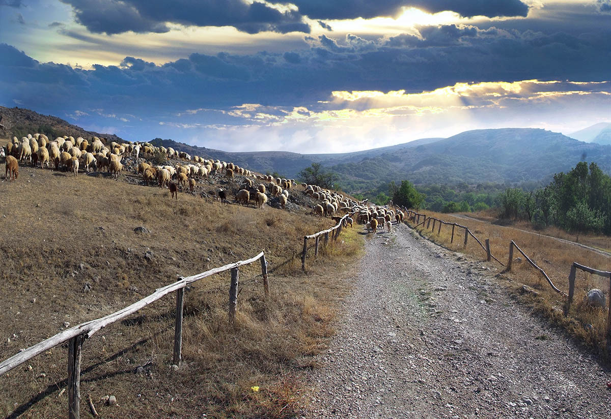 Irgendwo auf der Krim