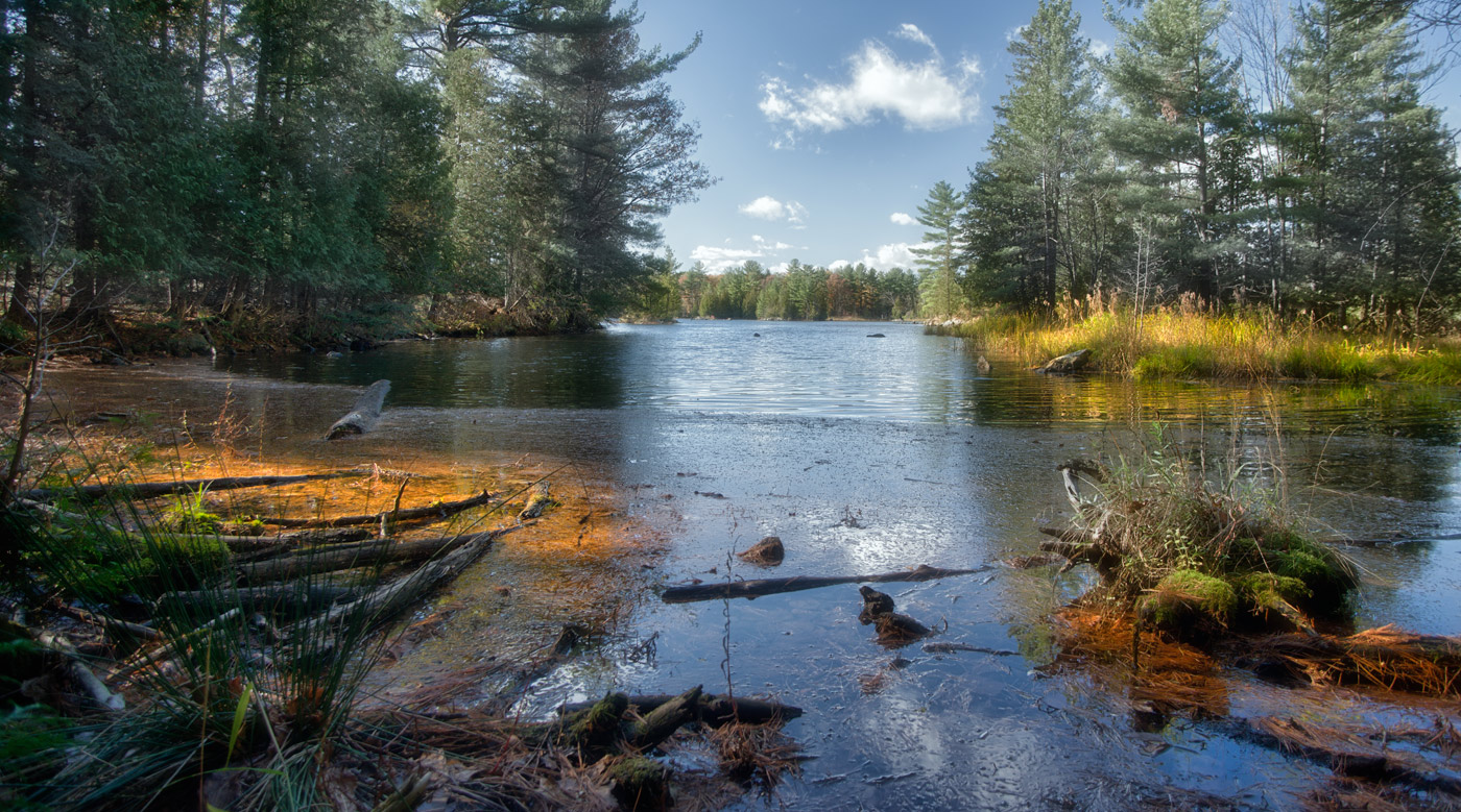 ...first Autumn sign