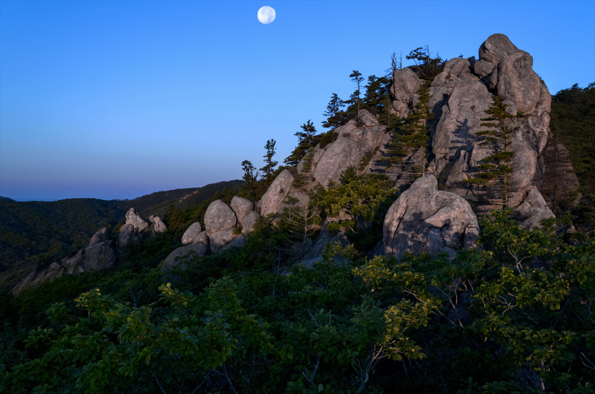 Schlaf im Morgengrauen