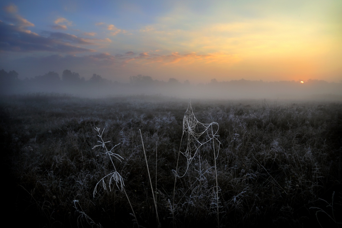 Warten auf die Dämmerung ...