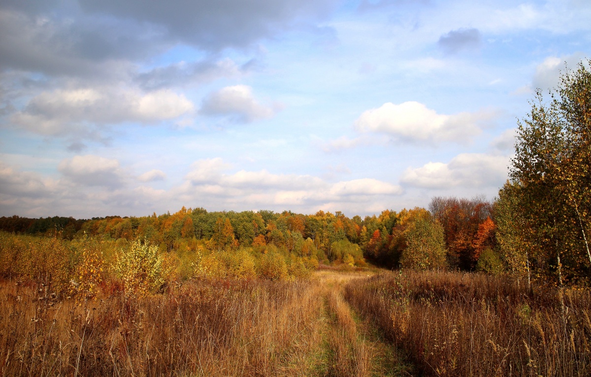 Straße zum Herbst