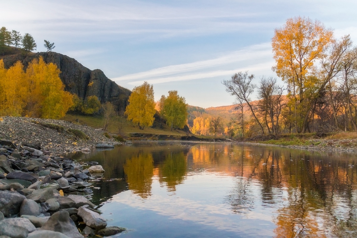 Auf Blattgold Birke Natur fasste die ...