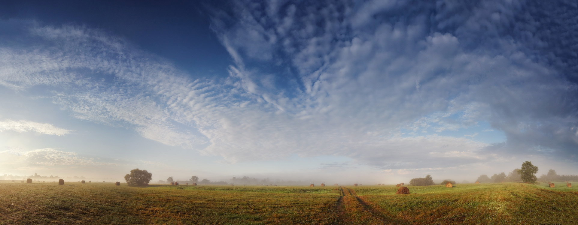Morgen August Füllstoff Wiese
