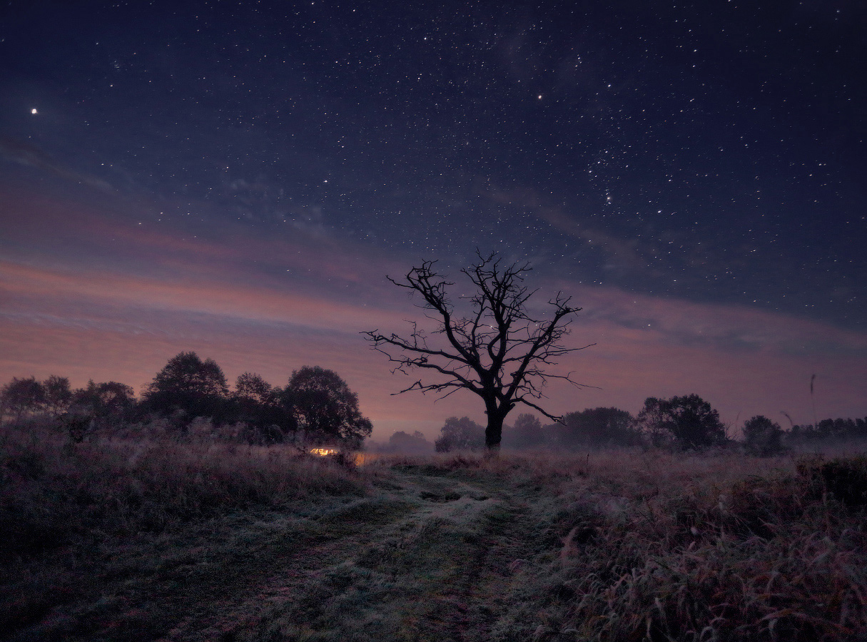 Sternenklare Nacht auf der Memel
