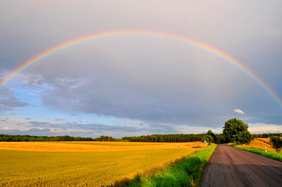 Regenbogen