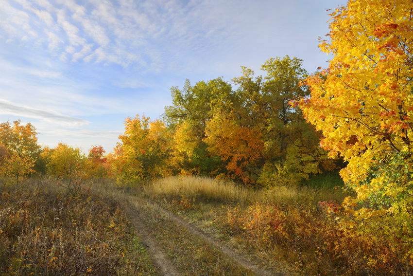Leicht und komfortabel im Herbst.