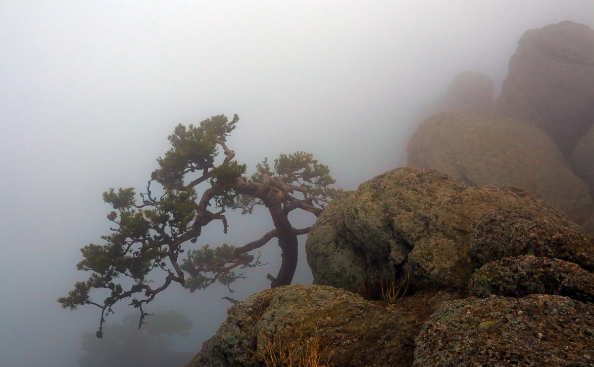 Tanz am Rande des Abgrunds