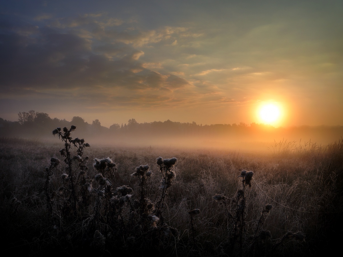 Die lang erwartete Morgendämmerung September ...