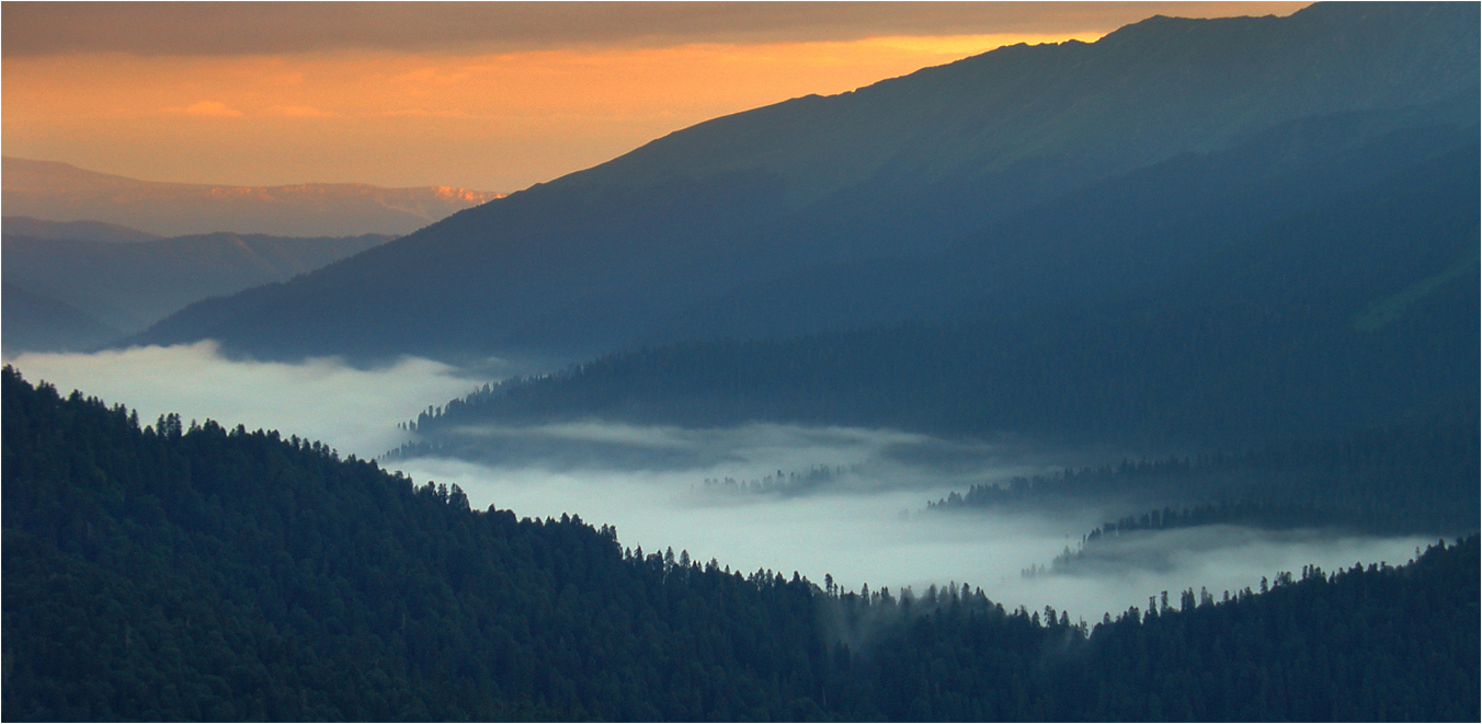 Nebligen Morgen in den Bergen