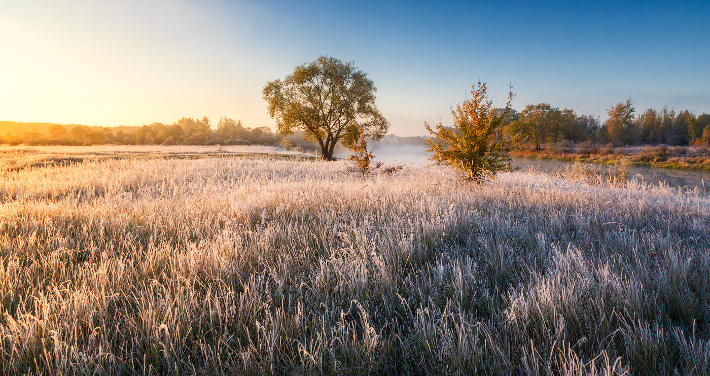 In Weißgold Oktober