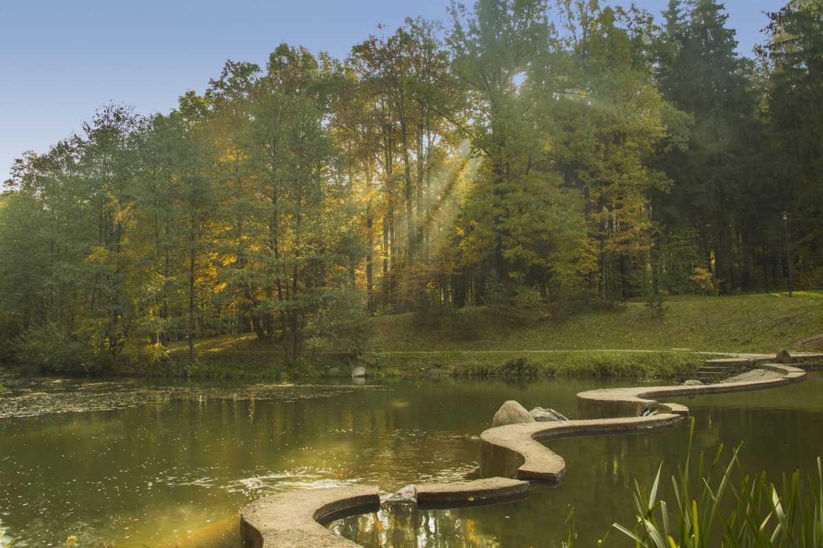 Schlange auf dem Wasser
